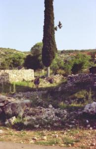 S3_197505-28