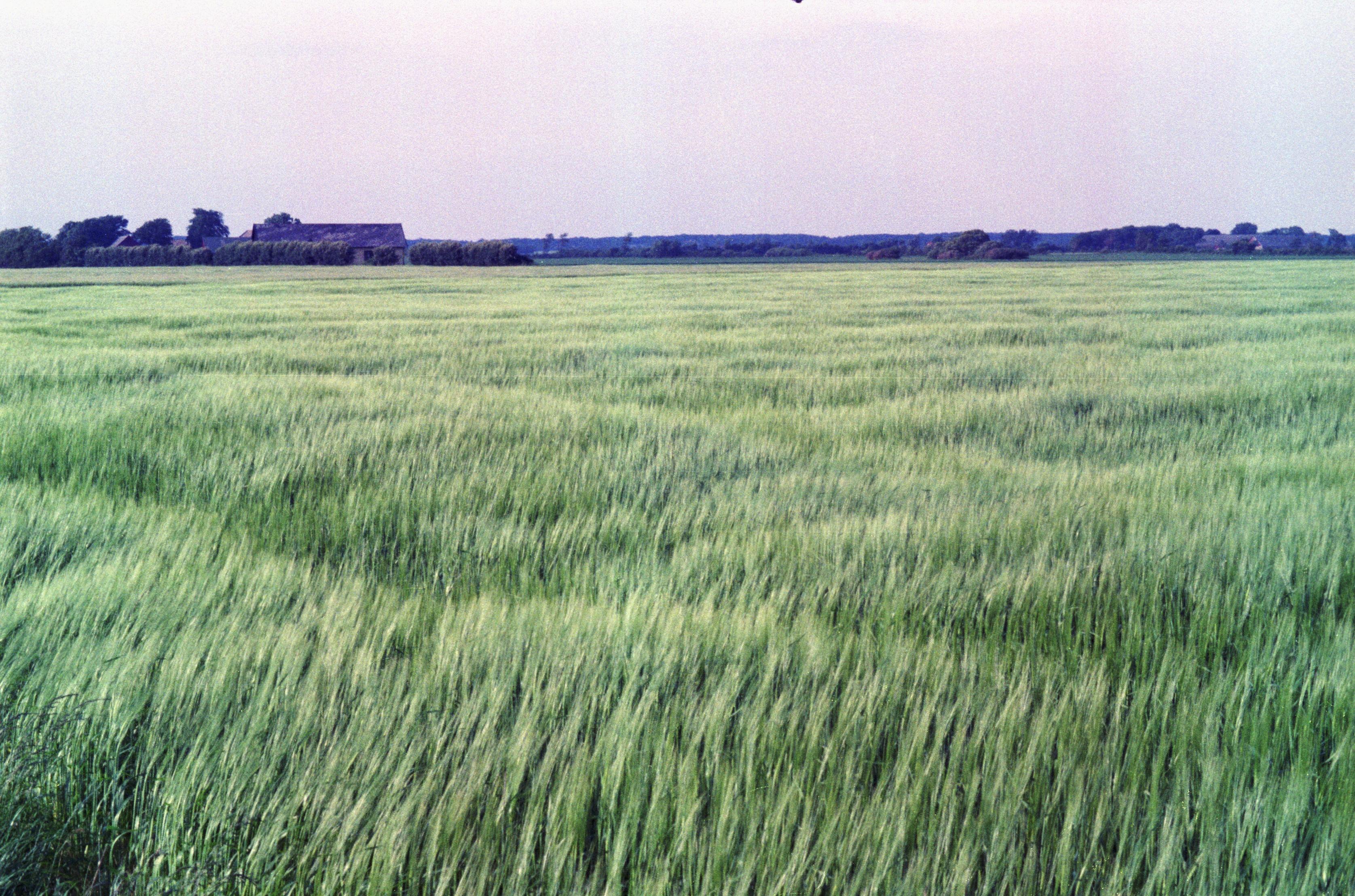 S3_197907-09