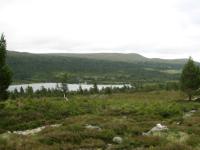 S3_1491.jpg