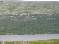 S3_1497.jpg