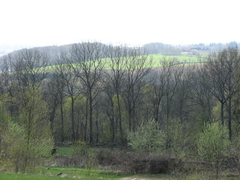S3_1953