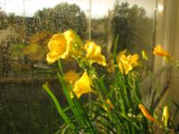 S3_2264.jpg