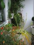 S3_2279.jpg