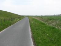 S3_2463.jpg