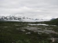 S3_2678.jpg