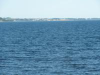 S3_2705.jpg