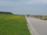S3_2831.jpg