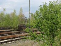 S3_2877.jpg
