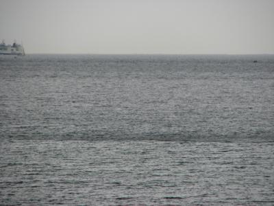 S3_2872