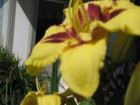 S3_2918.jpg