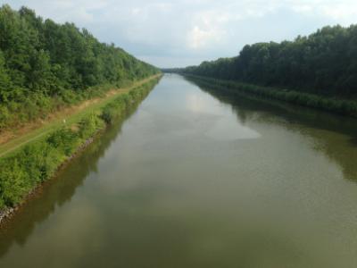 iP5_0568