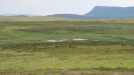 SX_0438.jpg