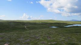 SX_0441.jpg