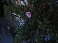 SX_0026.jpg