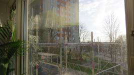 SX_0135.jpg