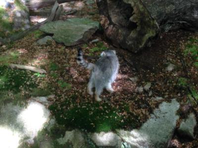 iP5_0539