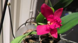 S3_0062.jpg