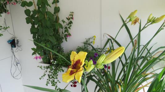 SX50_0855