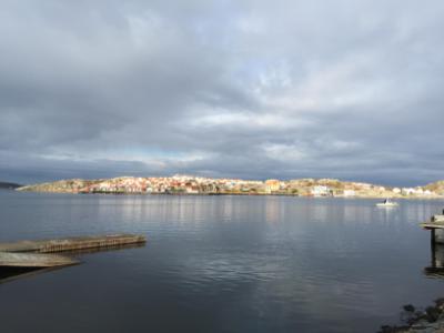 IP_0749