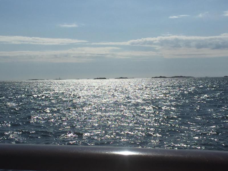 iP6p_0861