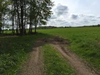 iP6p_0846.jpg