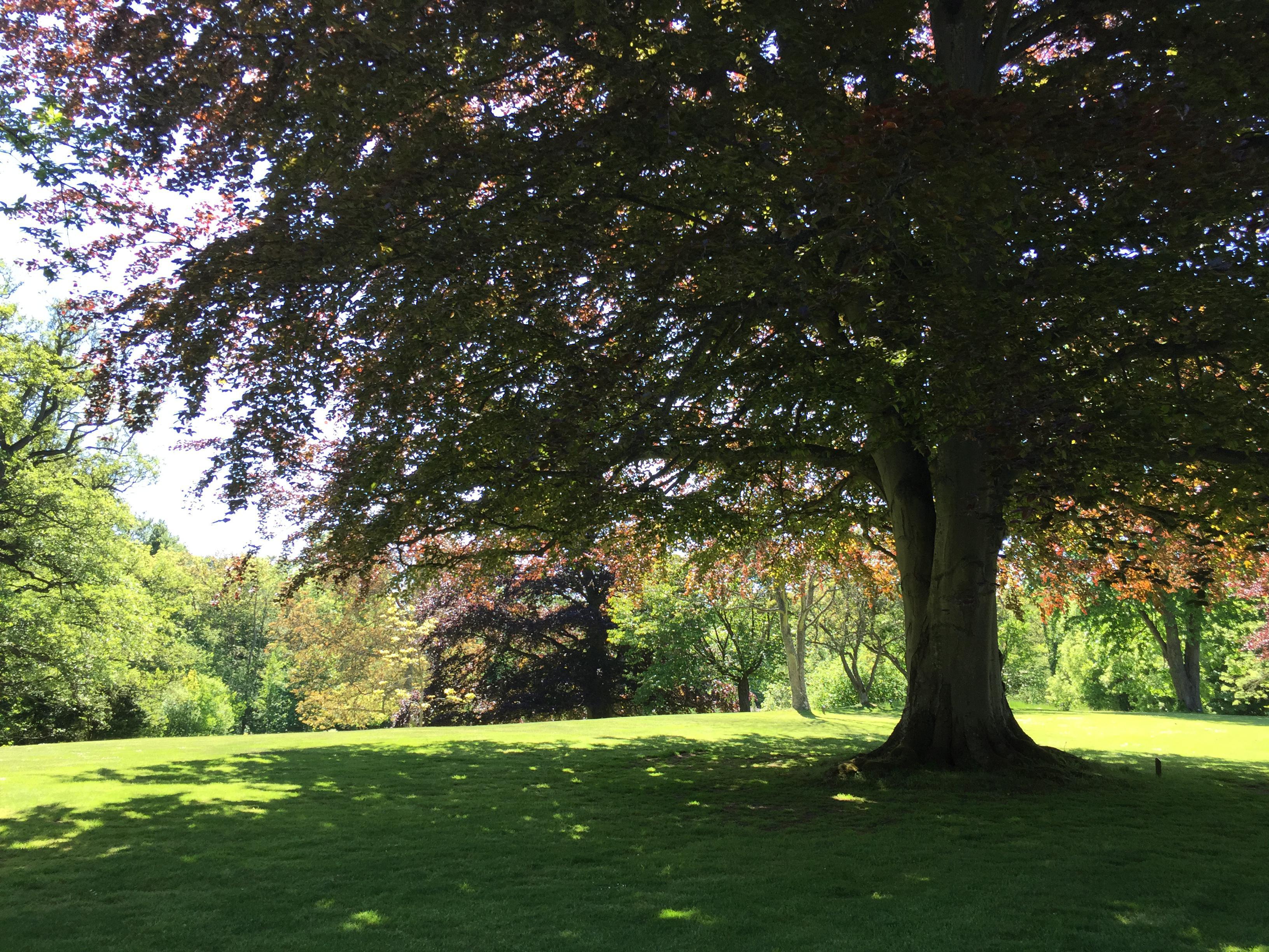 ip6p_1117