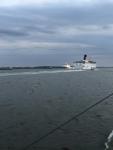 ip6p_1148.jpg